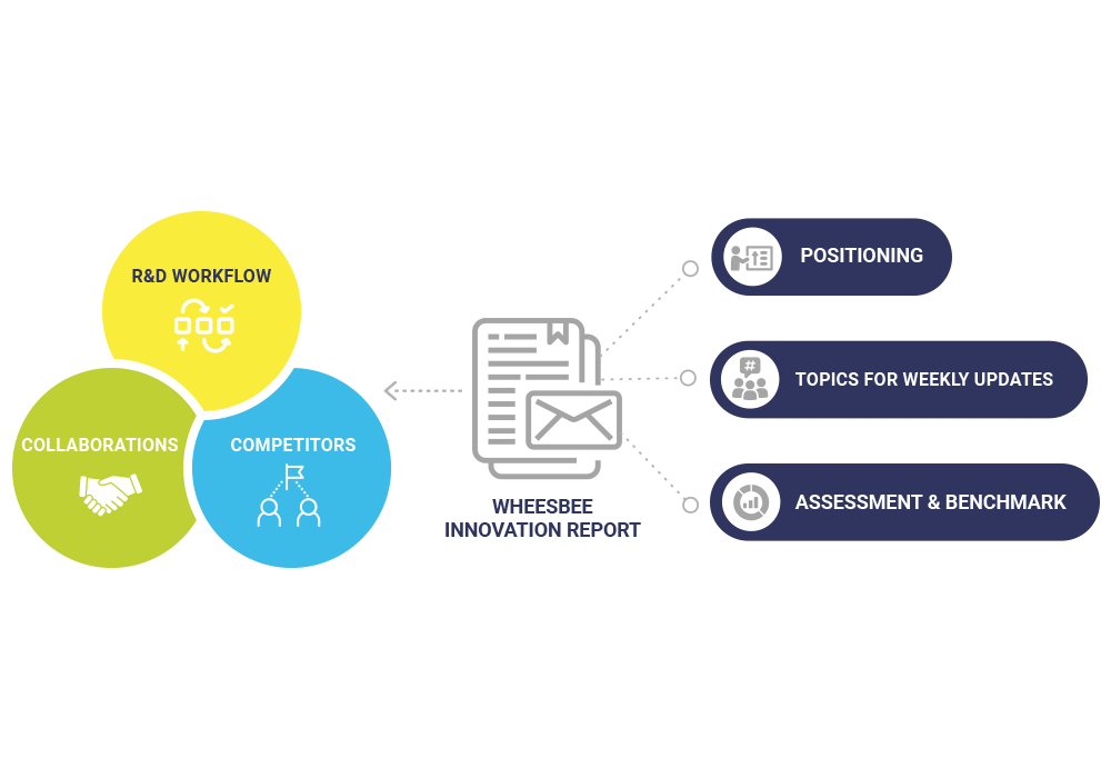 innovation report